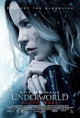 黑夜传说合集：血战 Underworld: Blood Wars  91分钟